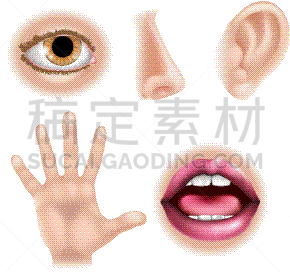 使用感官,白色,分离着色,人,部分,图像,艺术品,矢量,舌头