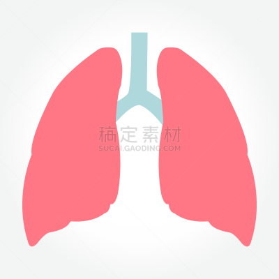 矢量,灯开关,灰色背景,健康保健,姿态,背景分离,药,蓝图,人类骨架,人类肺脏