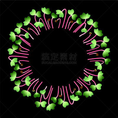 microgreens hong vit radish arranged in a circle