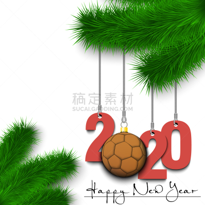 handball ball and 2020 on a christmas tree branch
