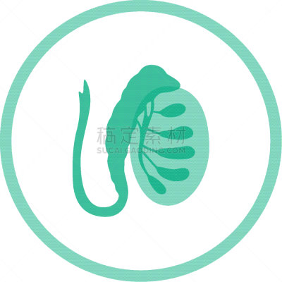 男性生殖系统,生物学,健康保健,睾丸,门诊部,品牌名称,人类的生殖器官,人类腺体,顺序