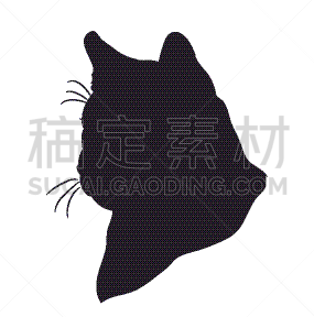 美洲狮,注视镜头,可爱的,野生动物,直的,肖像,猎豹,狮子,剪影