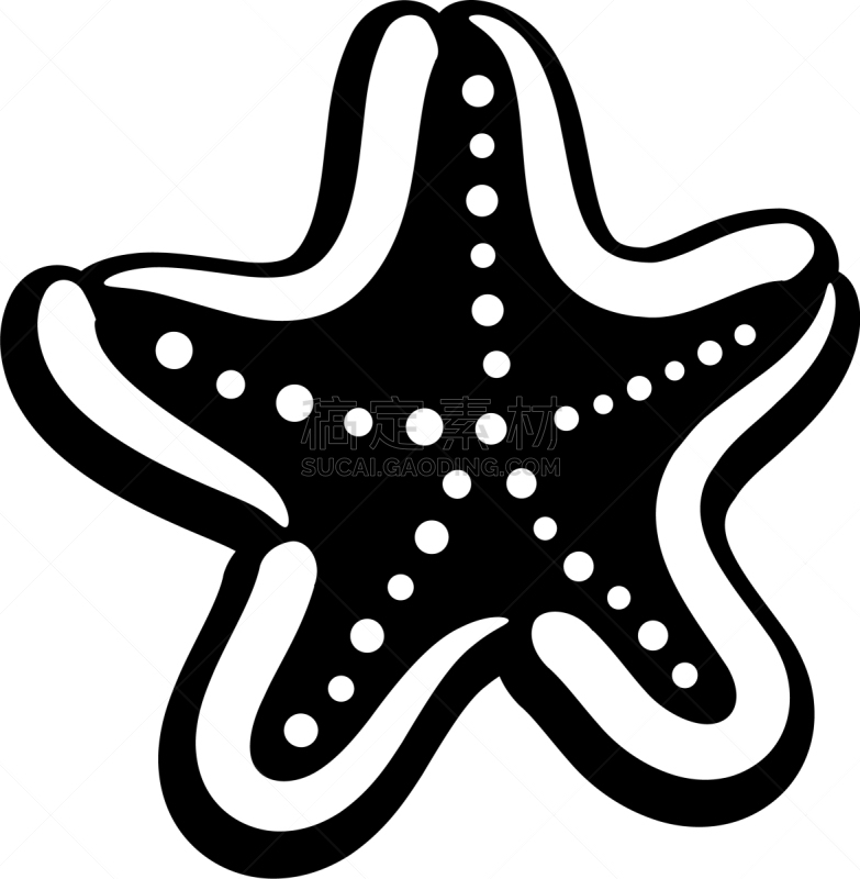 海星,矢量,图像,软体动物