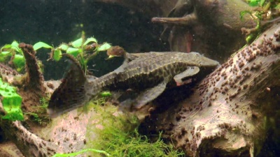 水族馆