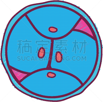 生物学,脱氧核糖核酸,胚胎,卵子,人,科学,生物科技,健康保健,分割