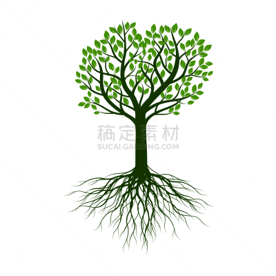 植物,绘画插图,轮廓,叶子,根部,矢量,绿色,菜园,清新,自然界的状态
