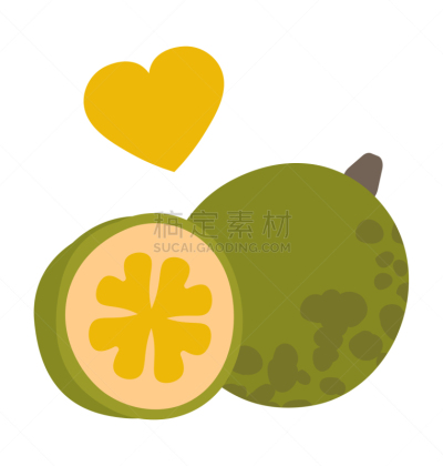热带气候,夏天,绘画插图,矢量,式样,静物,蔬菜,请柬,凤梨番石榴,清新