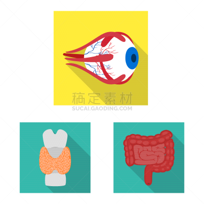 健康保健,人,图标集,生物学,整形器具,视力,角膜,植物群,人类骨架,空肠