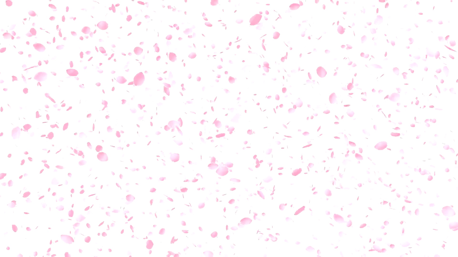 樱花，粉红花，无缝环路