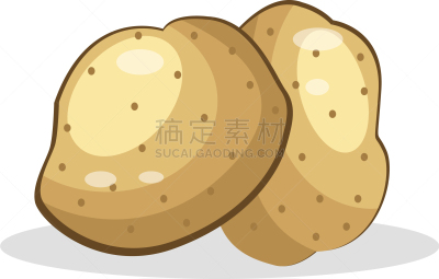 马铃薯,彩色图片,新鲜土豆,农业,蔬菜,矢量,生食,图像,淀粉,素食