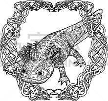 Axolotl,式样,书页,高雅,生物学,可爱的,传统,壁纸,模板,着色