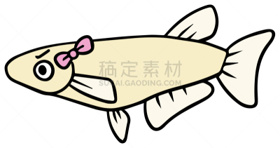 鱼类,矢量,绘画插图,科技,科学实验,简单,公园,池塘,小的,动物