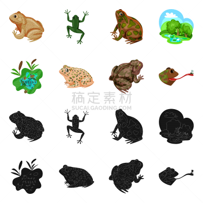 野生动物,分离着色,标志,藓沼,一个物体,生物学,有毒物质,草,动物,牛蛙