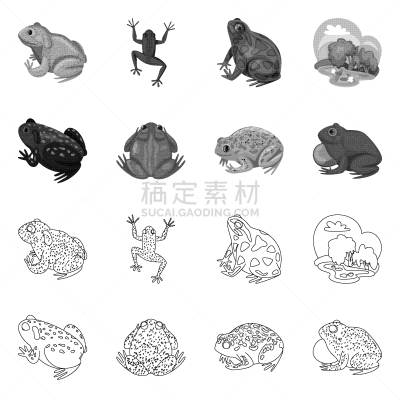 野生动物,藓沼,品牌名称,式样,生物学,有毒物质,草,动物,牛蛙,收集