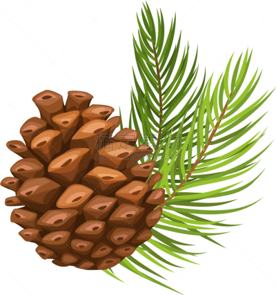 松果,枝,松树,云杉,杉树,植物,针叶树,Fir Cone,装饰品,复古