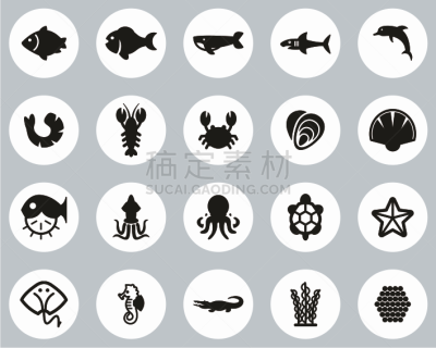海洋生命,海产,扁平化设计,计算机图标,圆形,黑白图片,巨大的,背景分离,简单,细的