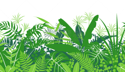 绿色,四方连续纹样,热带的花,复叶,华丽的,清新,干酪藤,植物群,草,装饰物