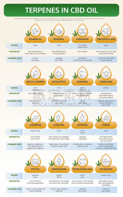 香熏油,教科书,信息图表,垂直画幅,生物学,健康保健,心肺系统,替代医药,分子,受体