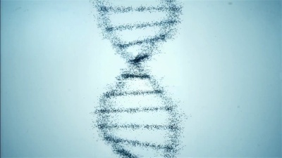 浅蓝色DNA