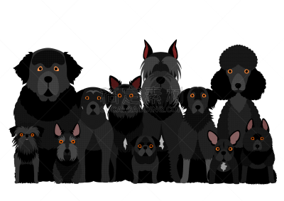狗,动物群,黑色,可爱的,纯种犬,纽芬兰犬,背景分离,多样,牧羊犬,警犬