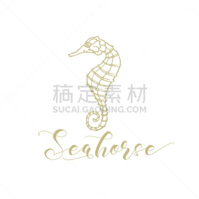 海产,商店,海星,海马,鱼市,铅笔,细的,现代,涂料,动物