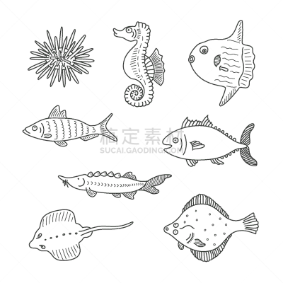 海洋,乱画,鱼类,单色调,分离着色,轮廓,白色,海胆,布置,收集