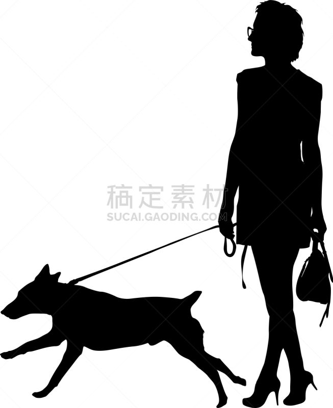 狗,女人,白色背景,纯种犬,梗犬,动物,斯班尼犬,剪影,坐,训练