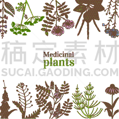 模板,草药,动物手,甘草糖,传单,印度草医学,纺织品,马尾,植物群,绘制