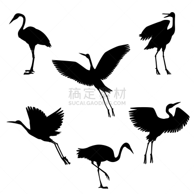 鸟类,动物手,黑色,鹤,华丽的,传统,野生动物,鹳,绘制,布置