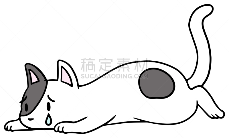矢量,绘画插图,猫,惊骇,十二生肖,恐怖,简单,动物,宠物商店