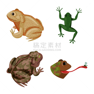分离着色,蛙,品牌名称,一个物体,生物学,有毒物质,野生动物,动物,牛蛙,舌头