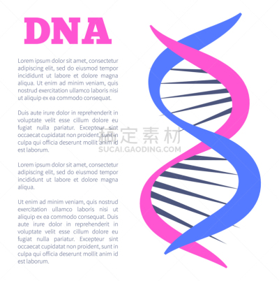 脱氧核糖核酸,链,酸,生物学,健康保健,螺线,有凹槽的,生物化学