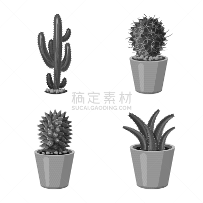 锅,仙人掌,图标集,式样,分离着色,自然,花盆,图像,收集,装饰