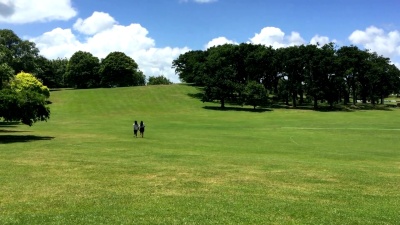 城市公园