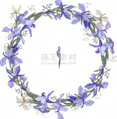 圆形,花卉花环,鸢尾,分离着色,白色,自然,请柬,高雅,装饰,花