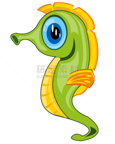 海马,白色,绘画插图,婴儿,自然,图像,矢量,动物,马,水