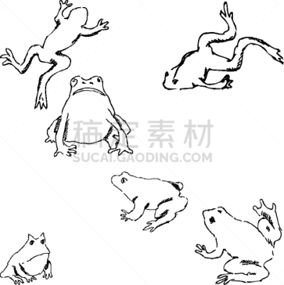 草图,蛙,铅笔画,可爱的,华丽的,野生动物,铅笔,池塘,小的,手写