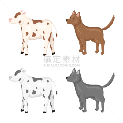 品牌名称,厨房,可爱的,农业,纯种犬,食品,狗,牛,动物