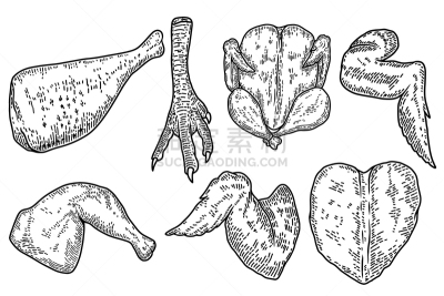 标签,绘画插图,雕刻术,鸡肉,动物腿,矢量,设计元素,鸡翅,标志,切断