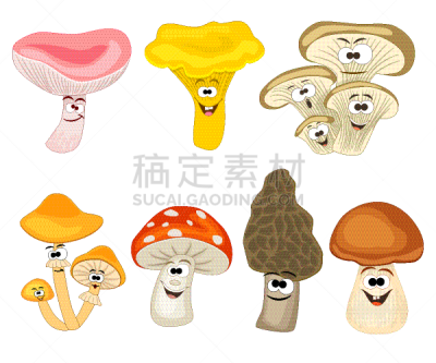 式样,可爱的,华丽的,蔬菜,多样,食品,成分,小的,童话故事,烹调