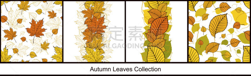 四方连续纹样,秋天,叶子,多色的,式样,明亮,国境线,季节,白色背景,收集