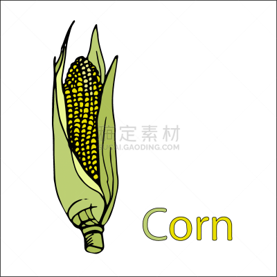 蔬菜,单词,玉米,绘画插图,卡通,轮廓,教育,矢量,黑色,材料