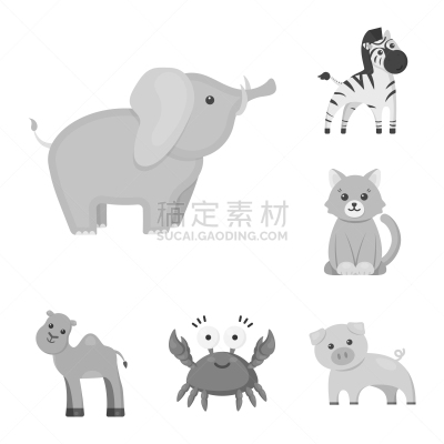 动物,完美,单色调,平衡折角灯,计算机图标,斑马,纯种犬,哺乳纲,象,猪