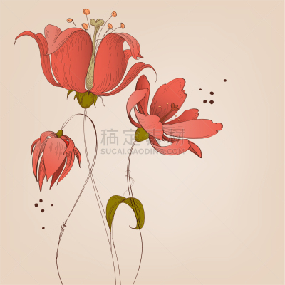 百合花,背景,华丽的,请柬,事件,浪漫,婚礼,花,问候,爱