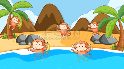 猴子,景象,海洋,可爱的,活力,野生动物,环境,灵长目,猿,哺乳纲