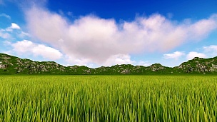 绿色田野和山脉上的体积云