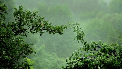 暴风雨天气