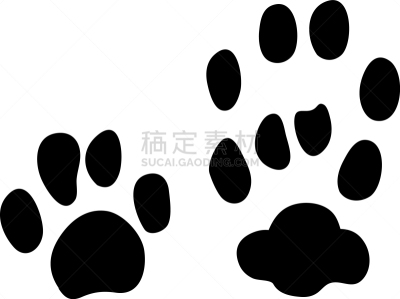 脚印,欧洲,野生猫科动物,脉搏图,外套,野生动物,哺乳纲,动物,爪,剪影