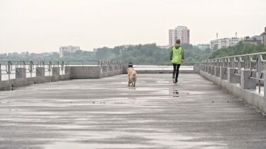 狗和男孩一起奔跑