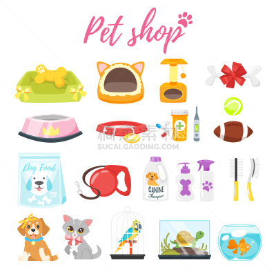 宠物商店,宠物,精神振作,纯种犬,梳子,黄金,鸟笼,图像,猫,狗